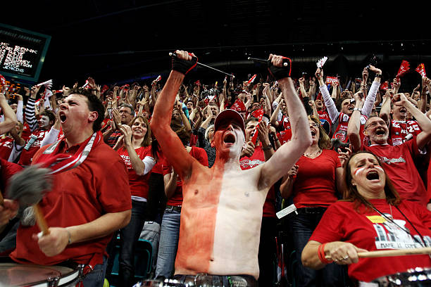 多样化与局 多样化与局